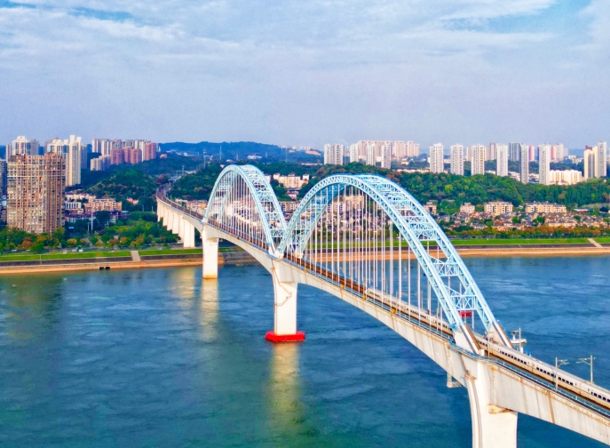 向光而行，花開滿途